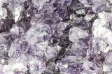 Sparking, Purple, Amethyst Crystal Cluster - Uruguay #215225-1